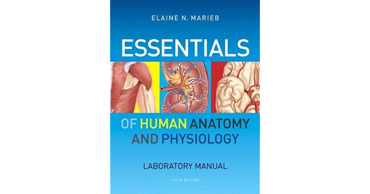 Elaine N Marieb Human Anatomy And Physiology Lab Manual